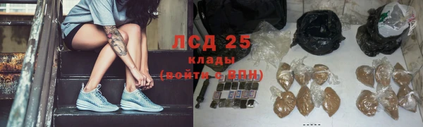 шишки Осташков