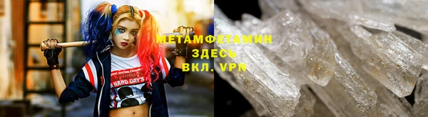 трава Осинники