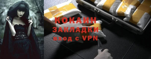 шишки Осташков