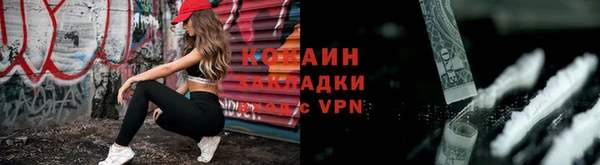 шишки Осташков