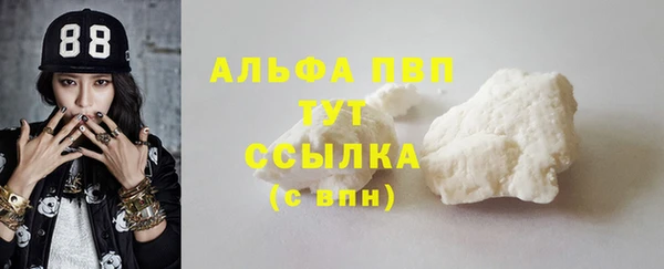 шишки Осташков