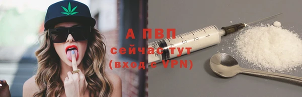 шишки Осташков