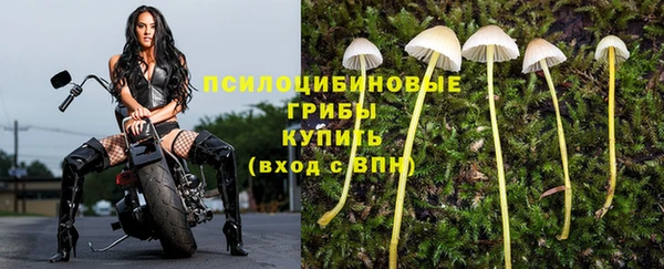 соль курить ск Остров