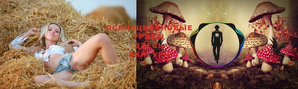 трава Осинники