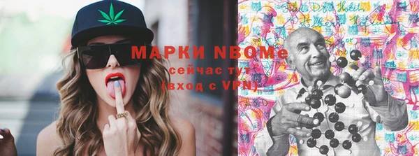 шишки Осташков
