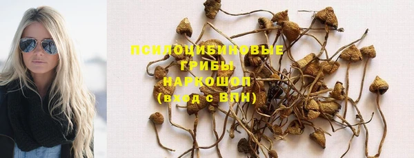 шишки Осташков